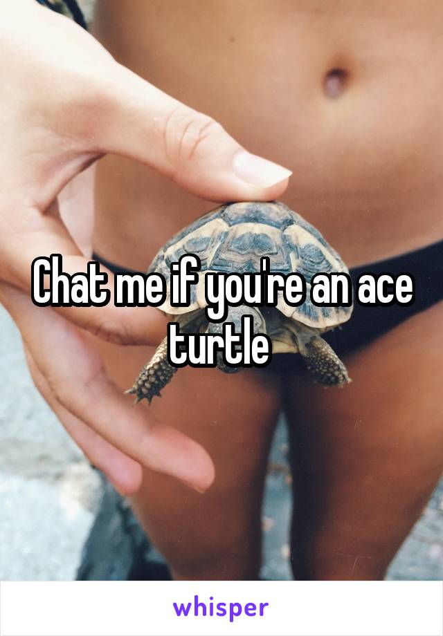 Chat me if you're an ace turtle 