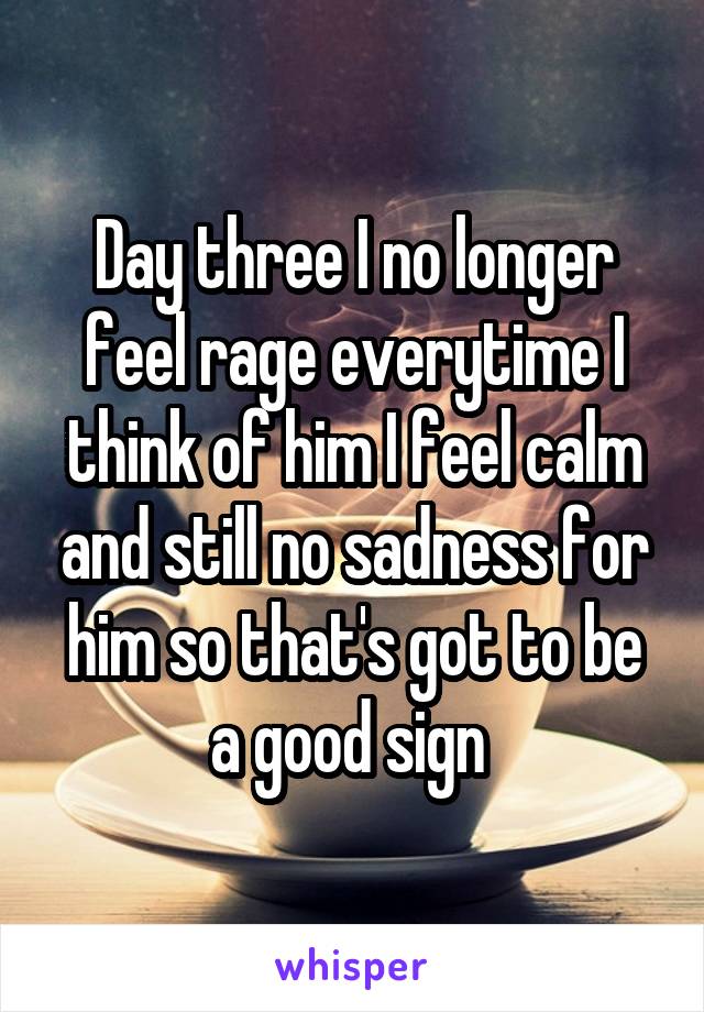 Day three I no longer feel rage everytime I think of him I feel calm and still no sadness for him so that's got to be a good sign 