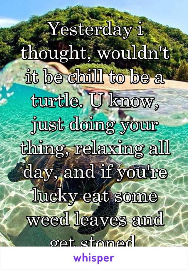 Yesterday i thought, wouldn't it be chill to be a turtle. U know, just doing your thing, relaxing all day, and if you're lucky eat some weed leaves and get stoned.