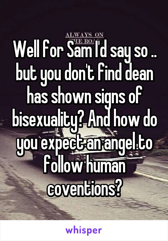 Well for Sam I'd say so .. but you don't find dean has shown signs of bisexuality? And how do you expect an angel to follow human coventions?