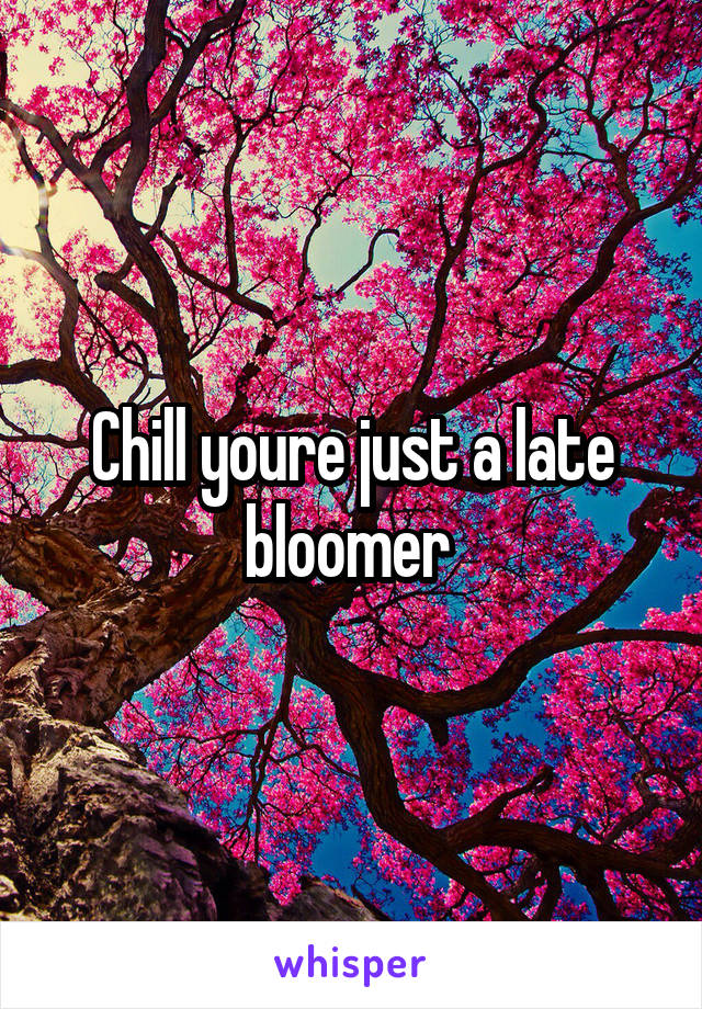 Chill youre just a late bloomer 