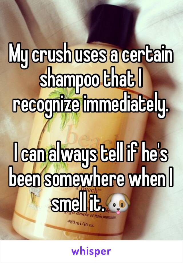 My crush uses a certain shampoo that I recognize immediately.

I can always tell if he's been somewhere when I smell it.🐶