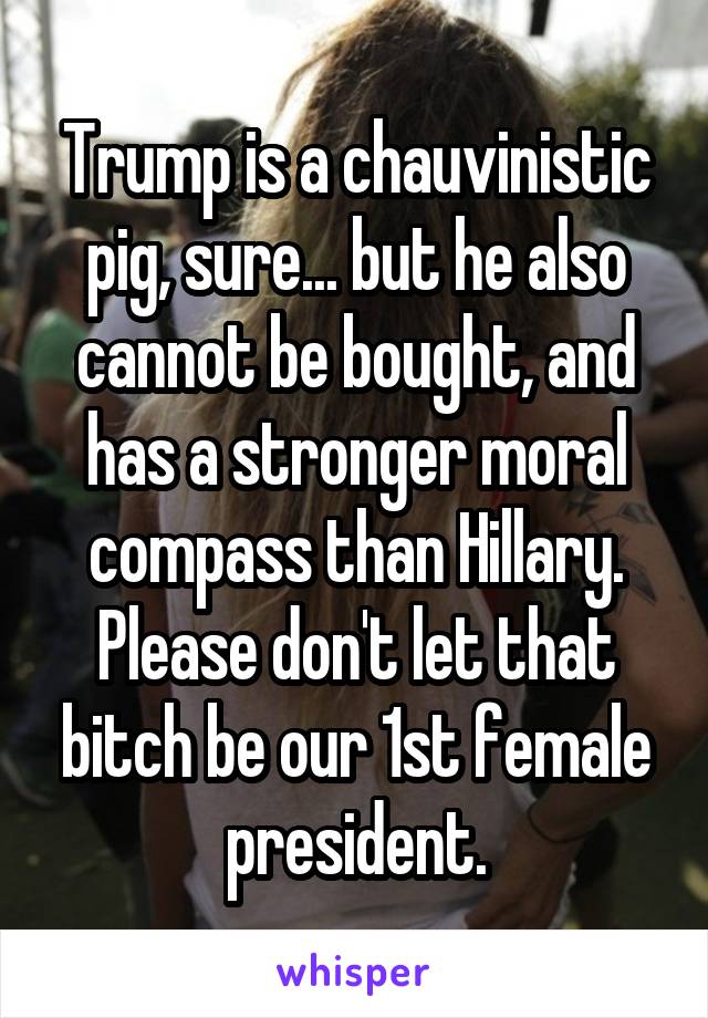 Trump is a chauvinistic pig, sure... but he also cannot be bought, and has a stronger moral compass than Hillary. Please don't let that bitch be our 1st female president.