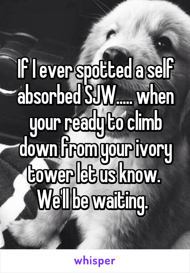 If I ever spotted a self absorbed SJW..... when your ready to climb down from your ivory tower let us know.  We'll be waiting.  