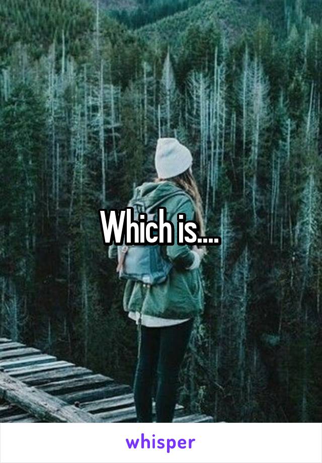 Which is.... 