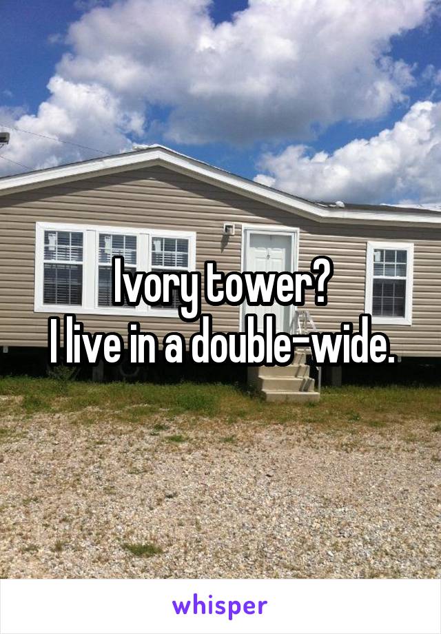 Ivory tower?
I live in a double-wide.