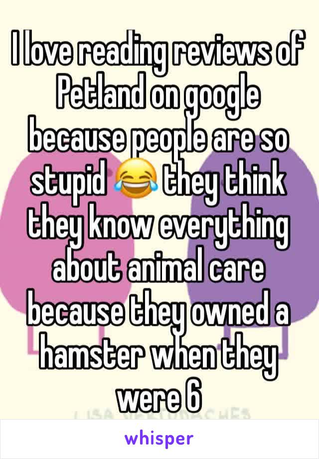 I love reading reviews of Petland on google because people are so stupid 😂 they think they know everything about animal care because they owned a hamster when they were 6