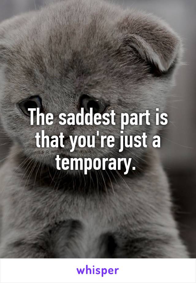 The saddest part is that you're just a temporary. 