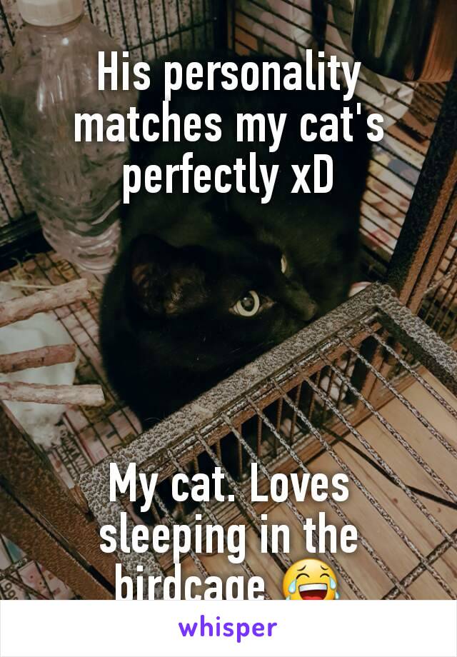His personality matches my cat's perfectly xD





My cat. Loves sleeping in the birdcage 😂