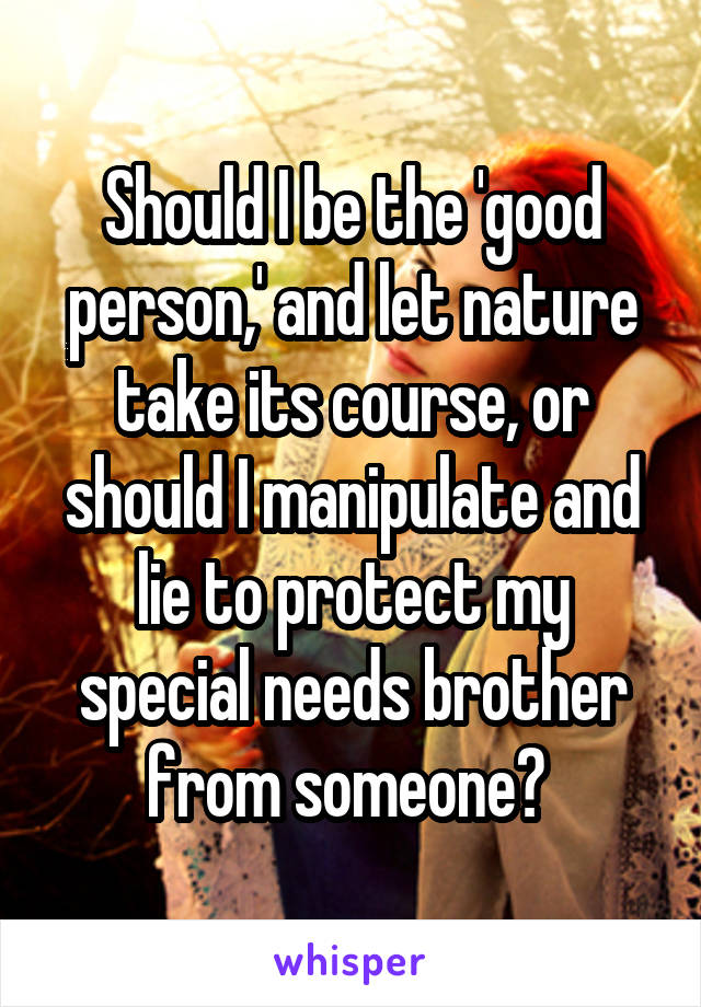 Should I be the 'good person,' and let nature take its course, or should I manipulate and lie to protect my special needs brother from someone? 