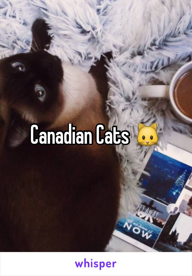 Canadian Cats 🐱 