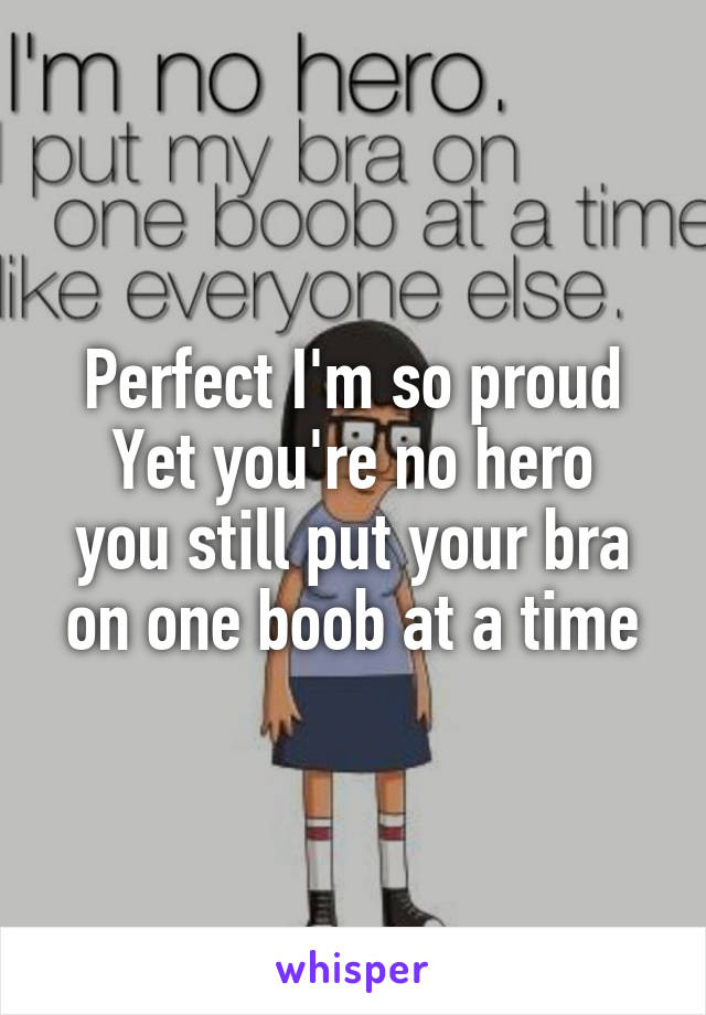Perfect I'm so proud
Yet you're no hero you still put your bra on one boob at a time
