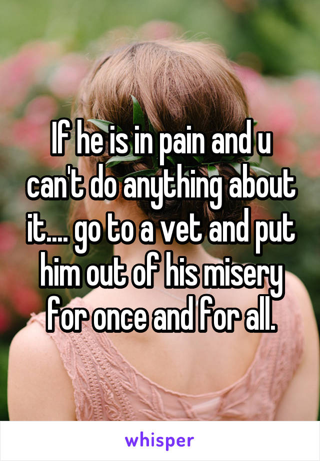 If he is in pain and u can't do anything about it.... go to a vet and put him out of his misery for once and for all.