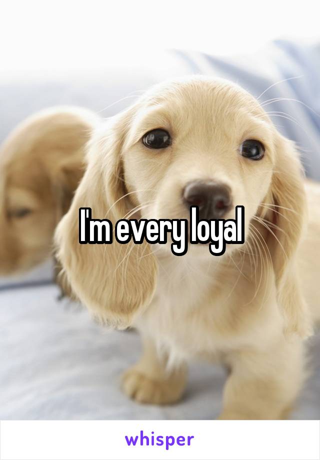 I'm every loyal