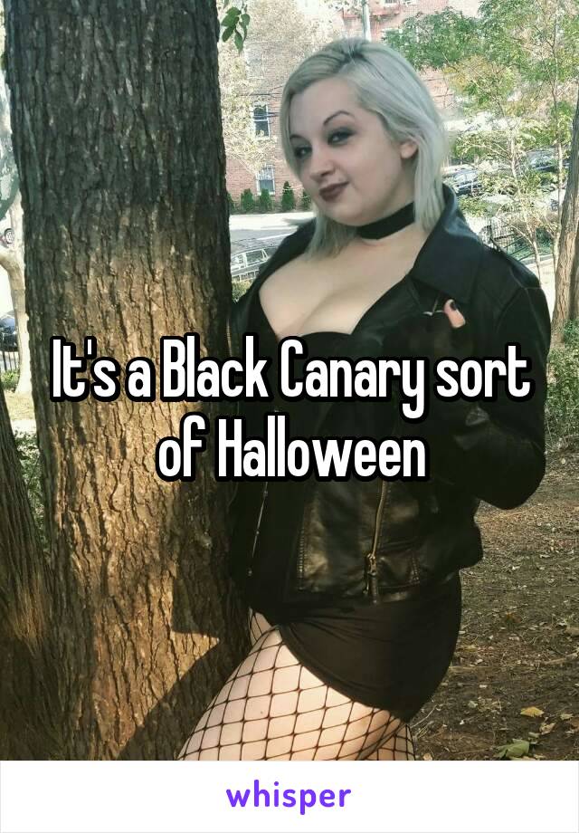 It's a Black Canary sort of Halloween