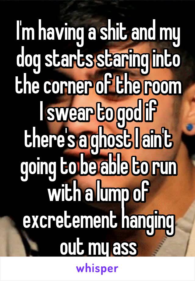 I'm having a shit and my dog starts staring into the corner of the room I swear to god if there's a ghost I ain't going to be able to run with a lump of excretement hanging out my ass