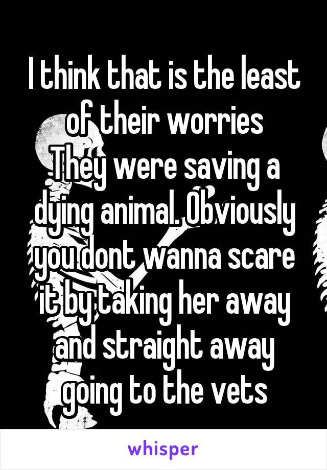 I think that is the least of their worries
They were saving a dying animal. Obviously you dont wanna scare it by taking her away and straight away going to the vets