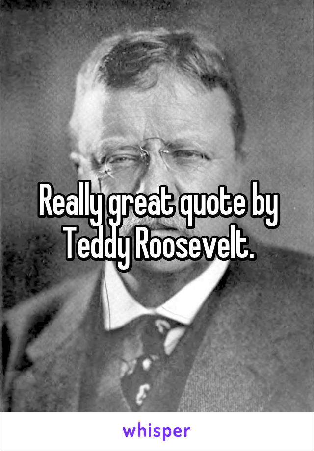 Really great quote by Teddy Roosevelt.