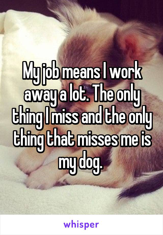 My job means I work away a lot. The only thing I miss and the only thing that misses me is my dog. 