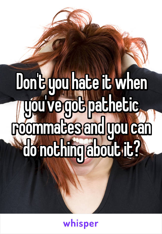 Don't you hate it when you've got pathetic roommates and you can do nothing about it?