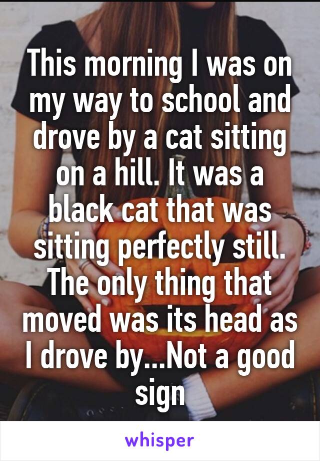 This morning I was on my way to school and drove by a cat sitting on a hill. It was a black cat that was sitting perfectly still. The only thing that moved was its head as I drove by...Not a good sign