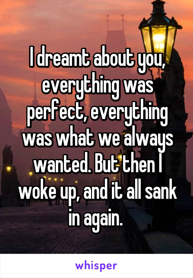 I dreamt about you, everything was perfect, everything was what we always wanted. But then I woke up, and it all sank in again. 