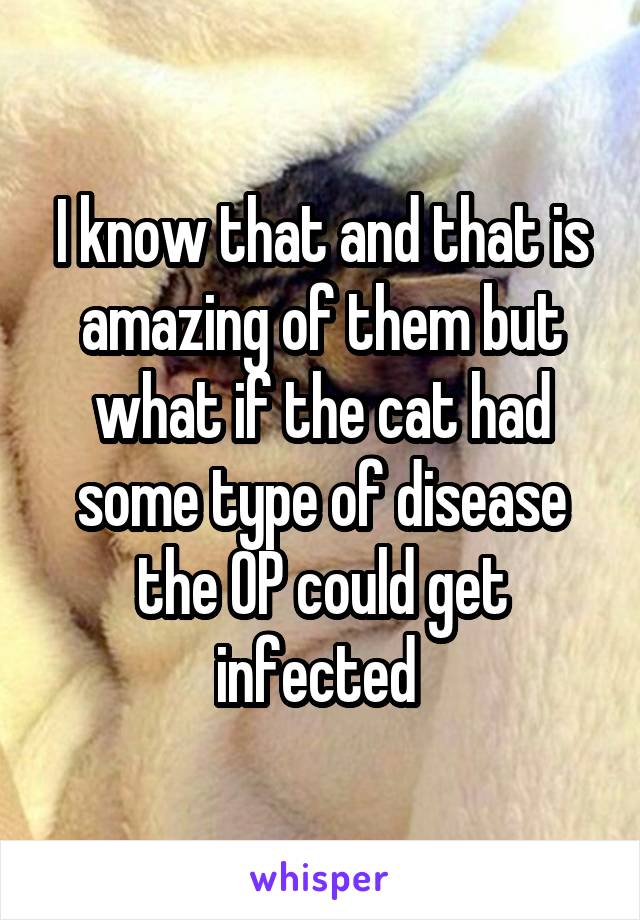 I know that and that is amazing of them but what if the cat had some type of disease the OP could get infected 