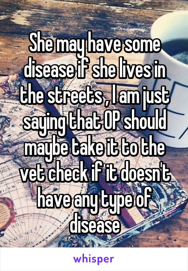 She may have some disease if she lives in the streets , I am just saying that OP should maybe take it to the vet check if it doesn't have any type of disease