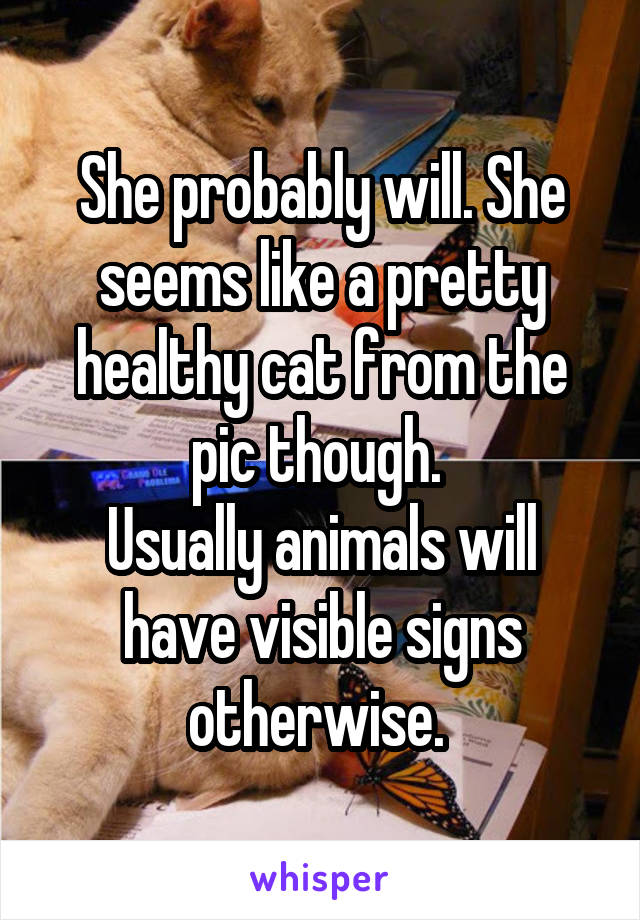 She probably will. She seems like a pretty healthy cat from the pic though. 
Usually animals will have visible signs otherwise. 