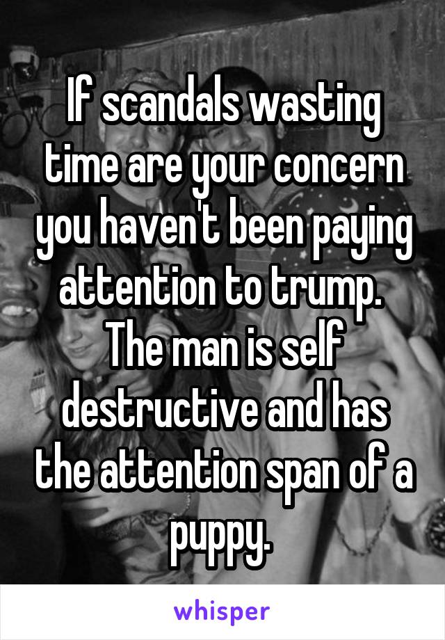 If scandals wasting time are your concern you haven't been paying attention to trump.  The man is self destructive and has the attention span of a puppy. 