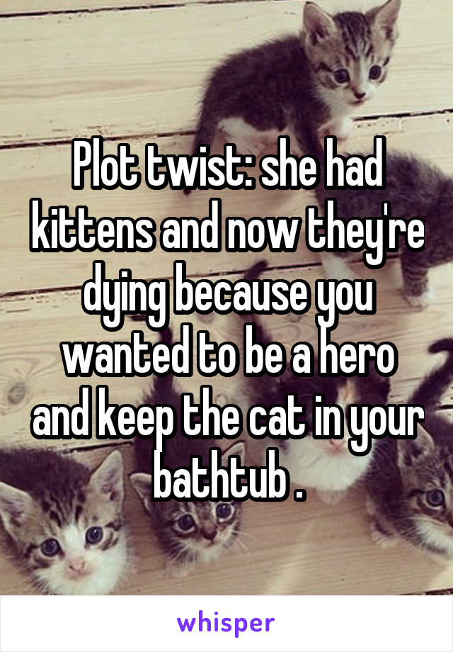 Plot twist: she had kittens and now they're dying because you wanted to be a hero and keep the cat in your bathtub .