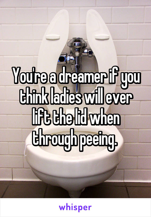 You're a dreamer if you think ladies will ever lift the lid when through peeing. 