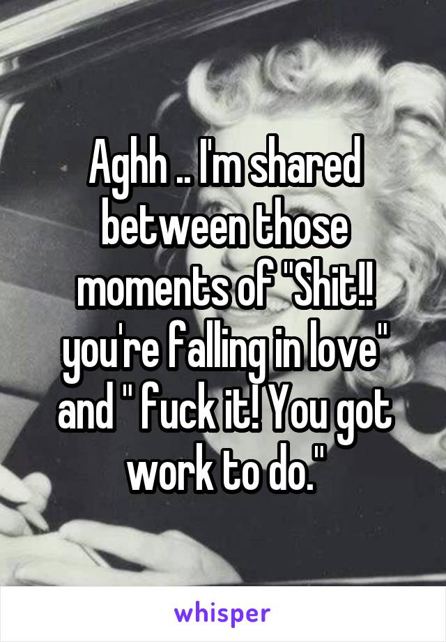 Aghh .. I'm shared between those moments of "Shit!! you're falling in love" and " fuck it! You got work to do."