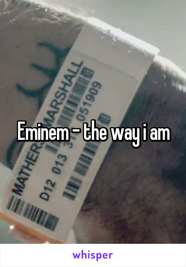 Eminem - the way i am