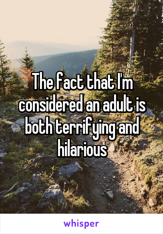 The fact that I'm considered an adult is both terrifying and hilarious