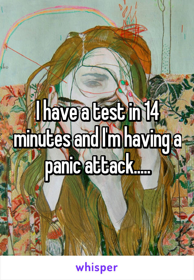 I have a test in 14 minutes and I'm having a panic attack.....