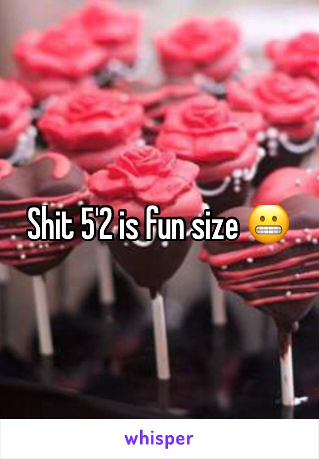 Shit 5'2 is fun size 😬
