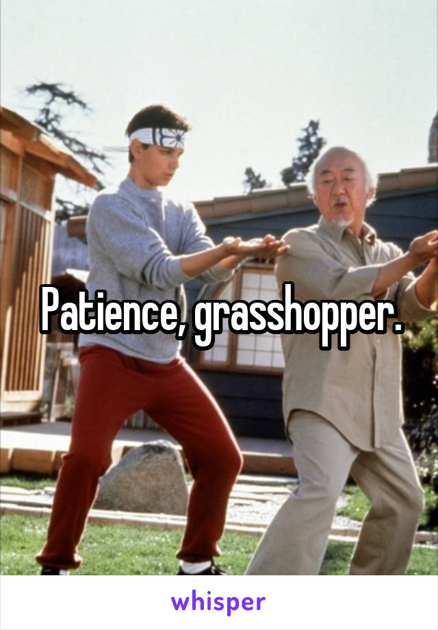 Patience, grasshopper.