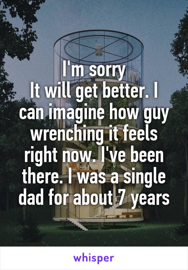 I'm sorry
It will get better. I can imagine how guy wrenching it feels right now. I've been there. I was a single dad for about 7 years