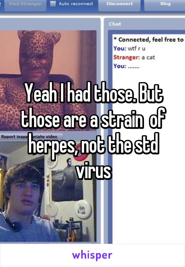 Yeah I had those. But those are a strain  of herpes, not the std virus