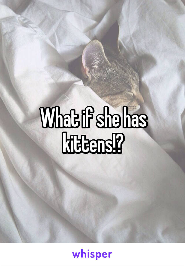 What if she has kittens!?