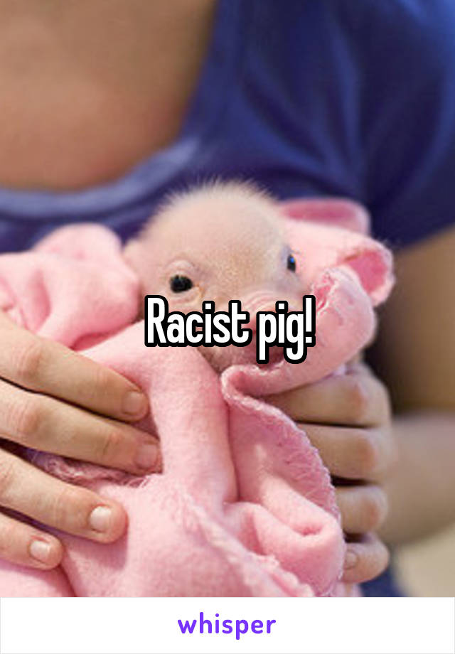 Racist pig!