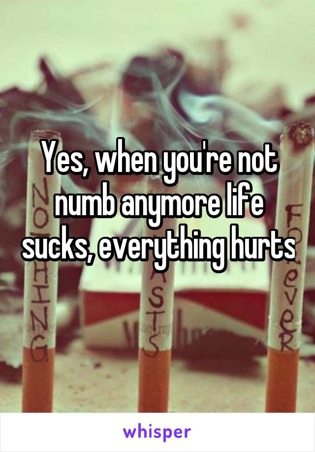 Yes, when you're not numb anymore life sucks, everything hurts 