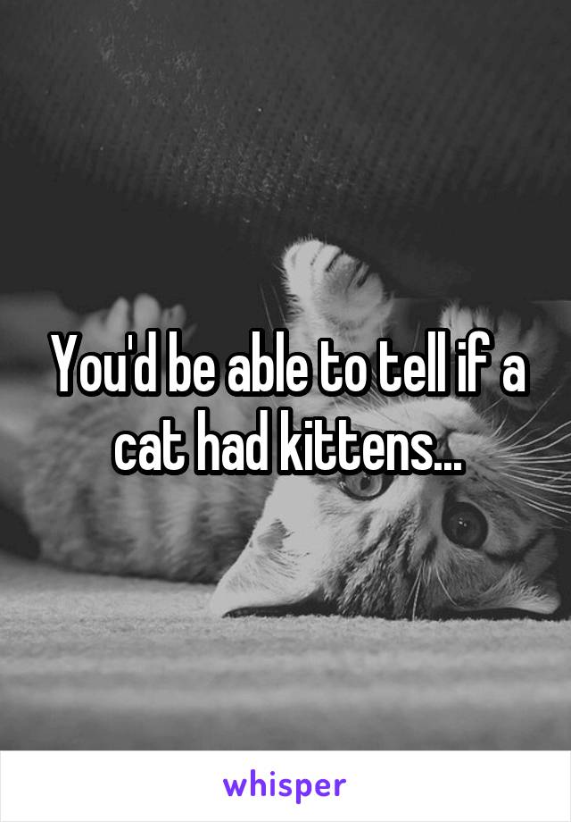 You'd be able to tell if a cat had kittens...
