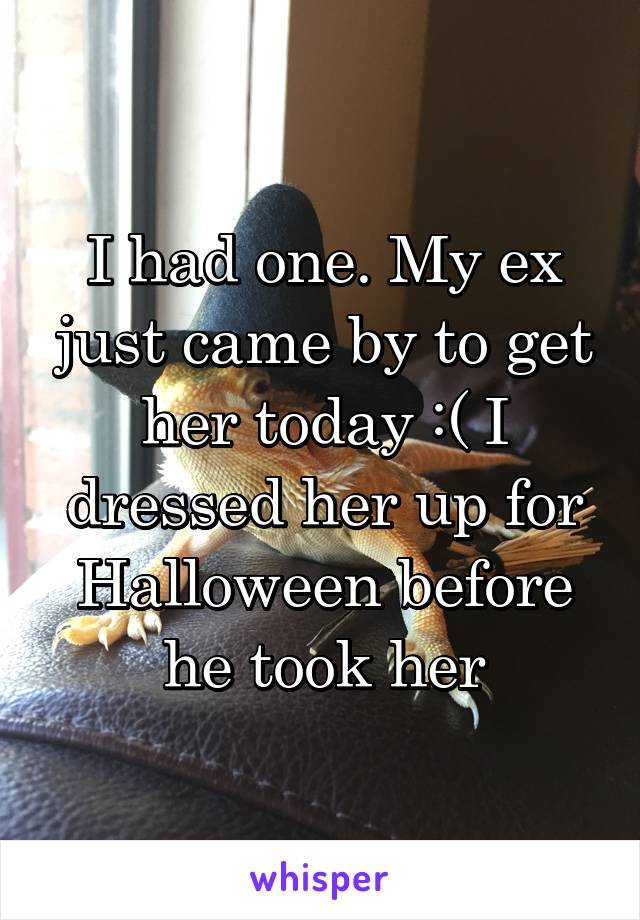 I had one. My ex just came by to get her today :( I dressed her up for Halloween before he took her