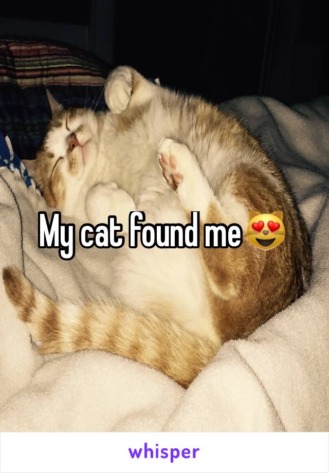 My cat found me😻