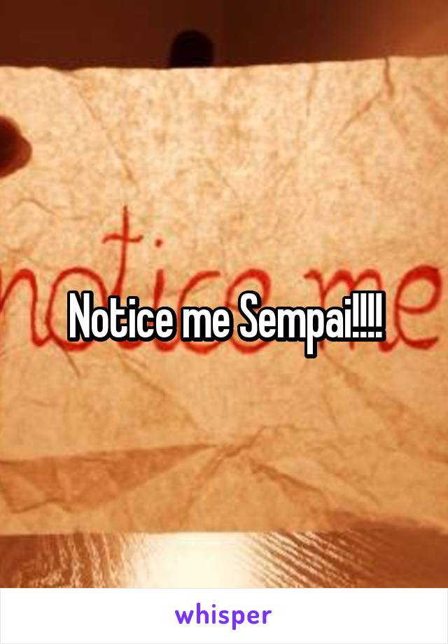 Notice me Sempai!!!!