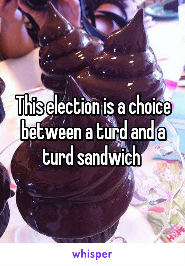 This election is a choice between a turd and a turd sandwich 