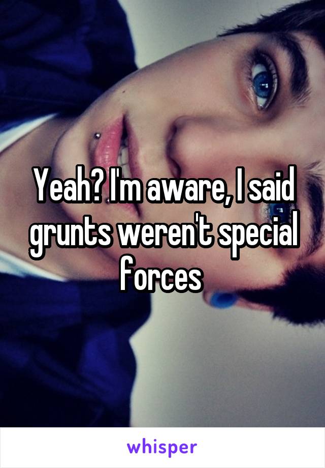 Yeah? I'm aware, I said grunts weren't special forces 
