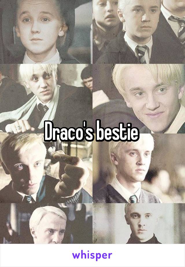 Draco's bestie 